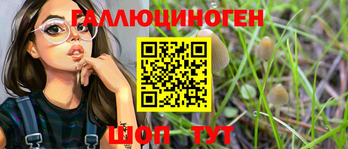 Галлюциногенные грибы GOLDEN TEACHER Грозный